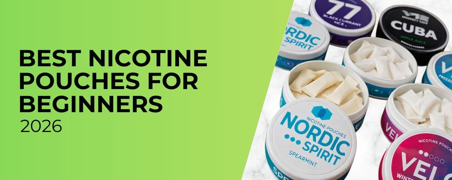 Best Nicotine Pouches for Beginners in 2026