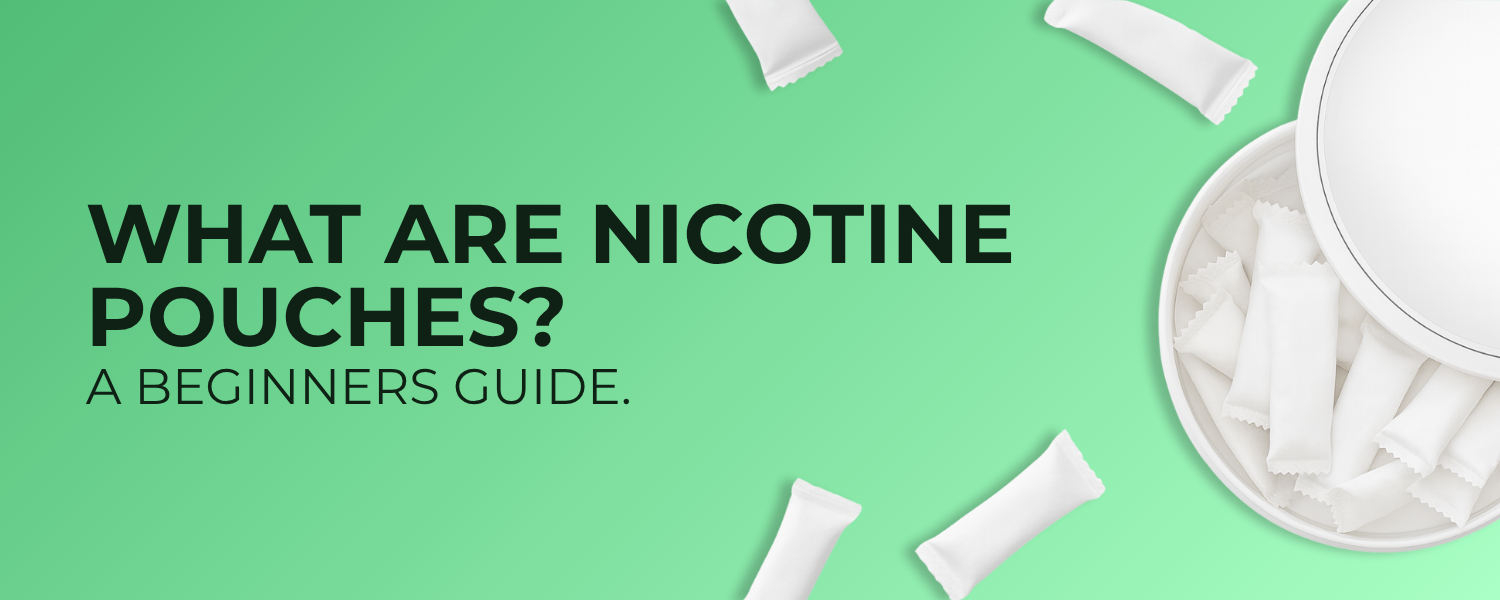 What Are Nicotine Pouches A Beginner’s Guide