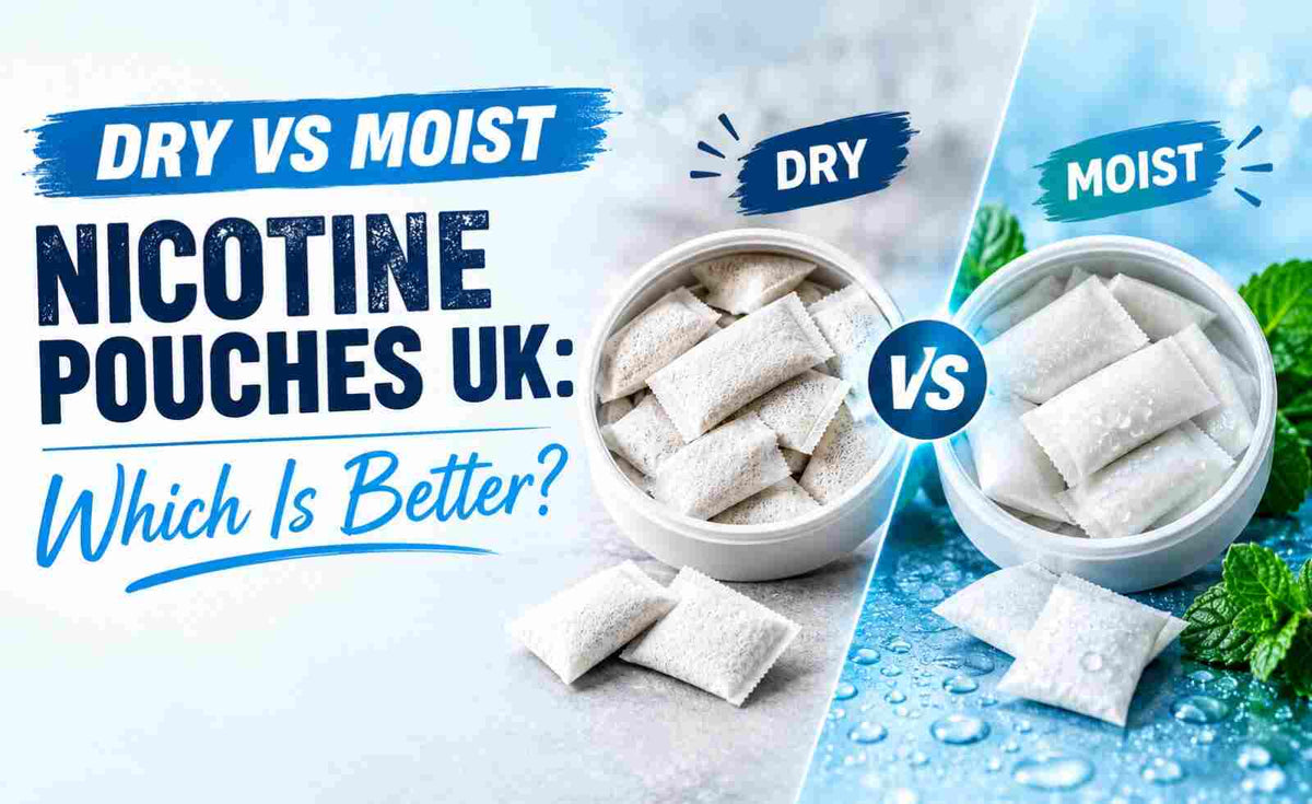 Dry vs Moist Nicotine Pouches UK: Which Is Better?