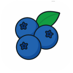 Blueberry