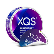 Blueberry Mint (8mg) by XQS